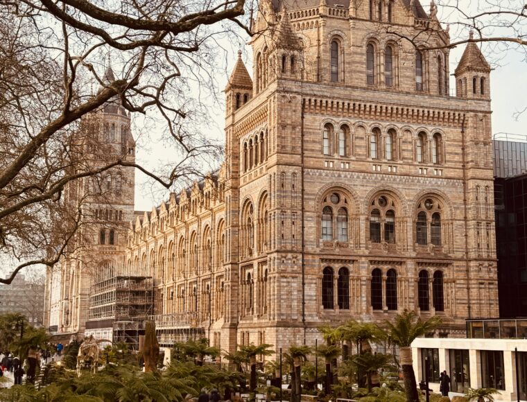 Natural History Museum
